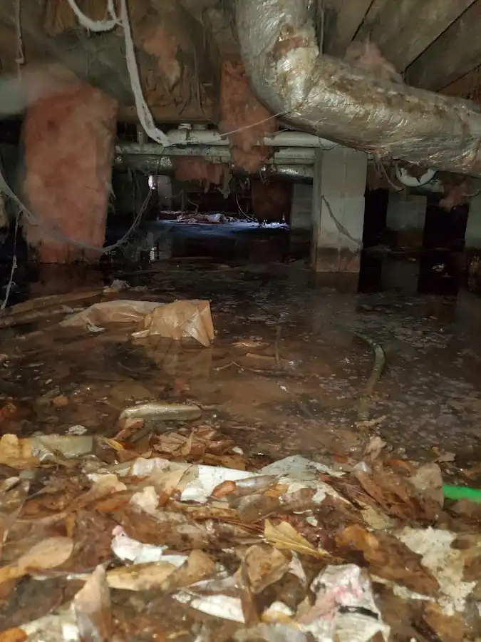 Crawl space flood assessment for Leak Detection & Repair in Columbia